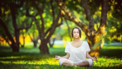 开云APP-橙衣铁壁，范戴克领衔荷兰防线，替补奇兵一击制胜