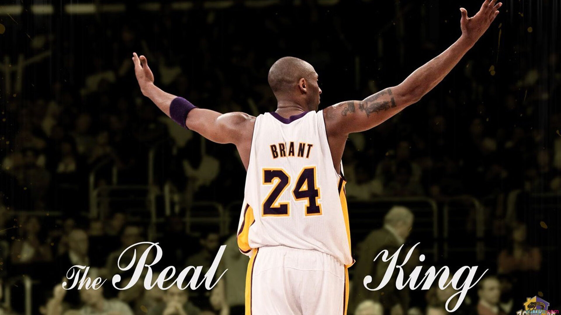 欧冠决赛焦点战，勇士巅峰对决胜出黄蜂